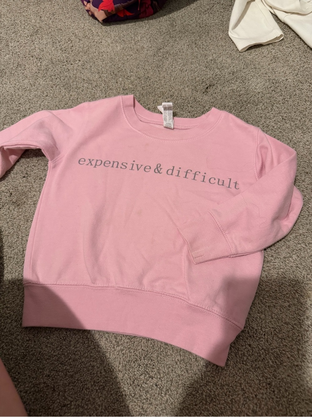 Kids Pink 'expensive & difficult' Graphic Sweatshirt
